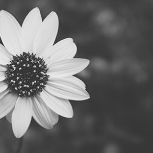 Meet your Posher, Autumn